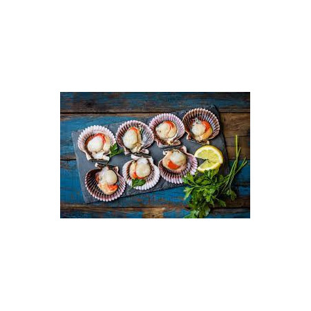 Ostiones Media Concha Bandeja 8 Unidades